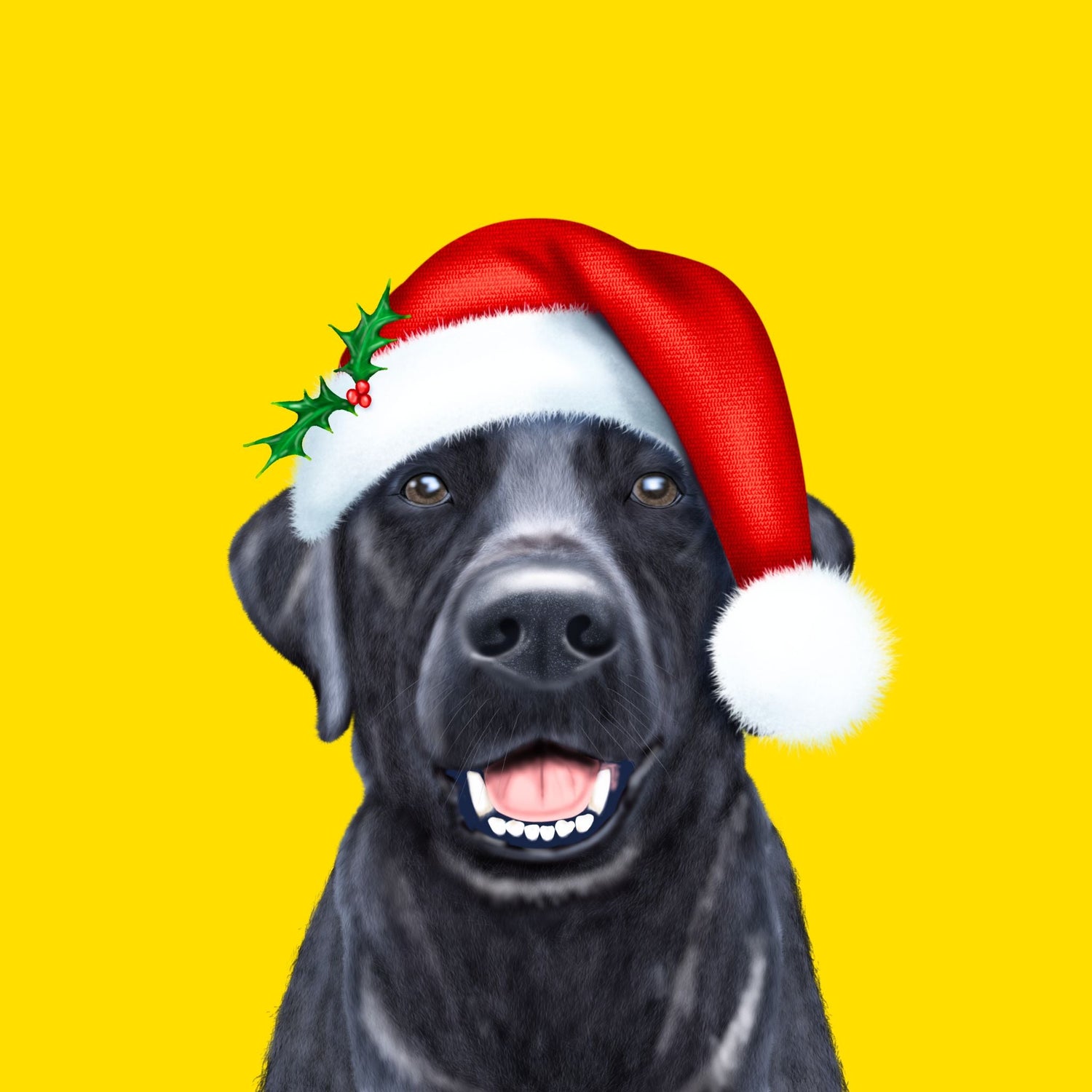 Woofing You A Meowy Christmas