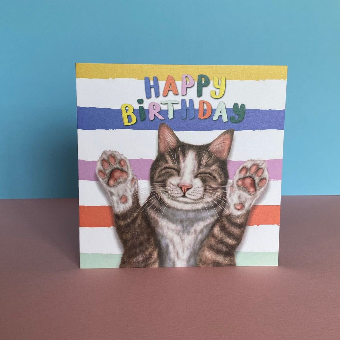 Brown and White Cat Birthday Card | Funny Cat Card