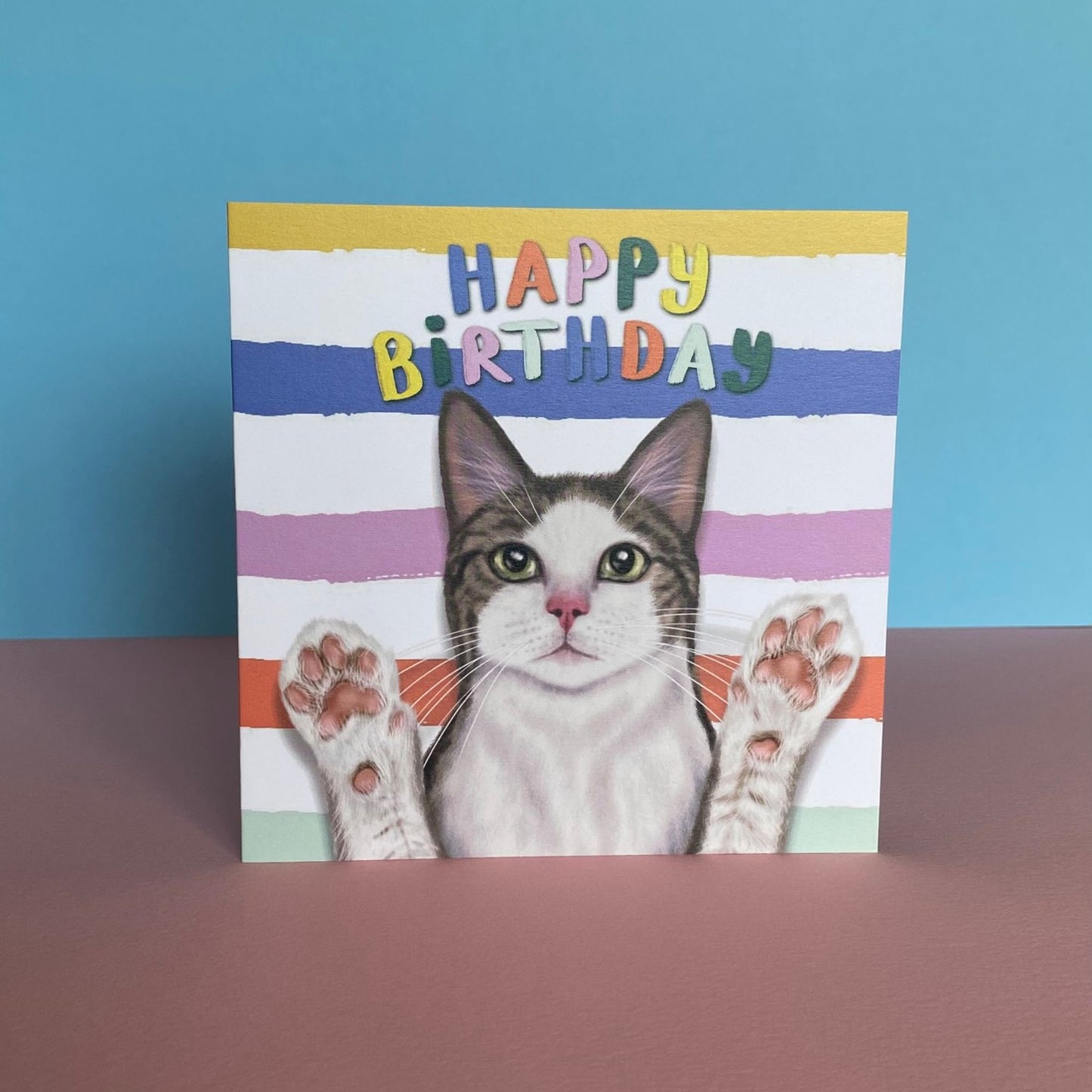 Grey and White Cat Birthday Card | Funny Cat Card