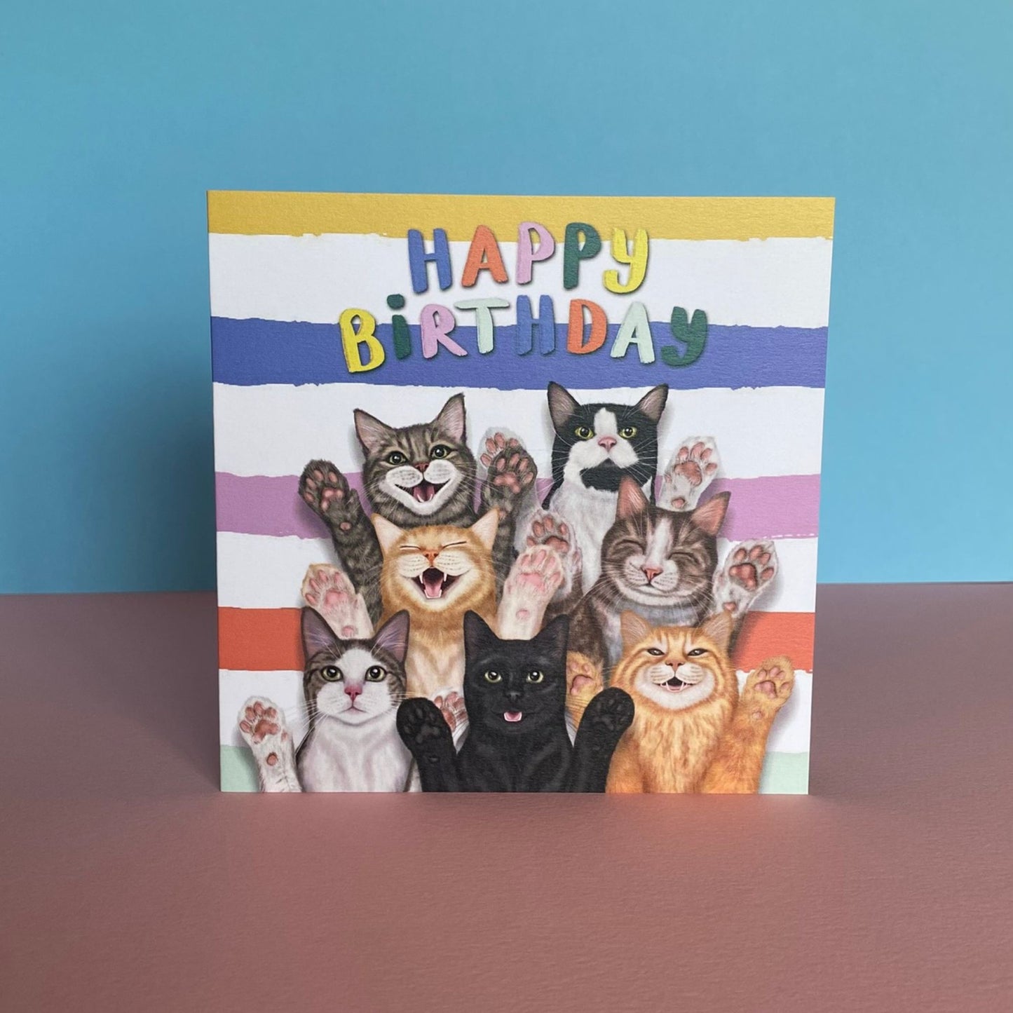Group of Cats Birthday Card | Funny Cat Card