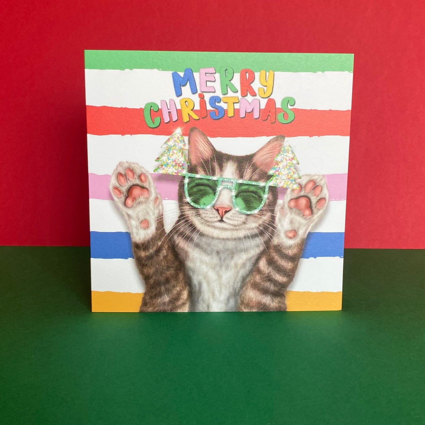 Brown and White Tabby Cat Christmas Card | Funny Cat Card