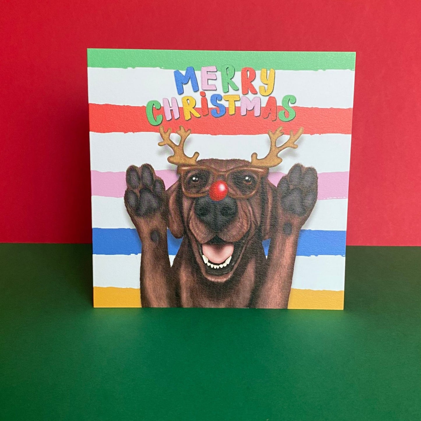 Chocolate Brown Labrador Dog Christmas Card | Funny Dog Card