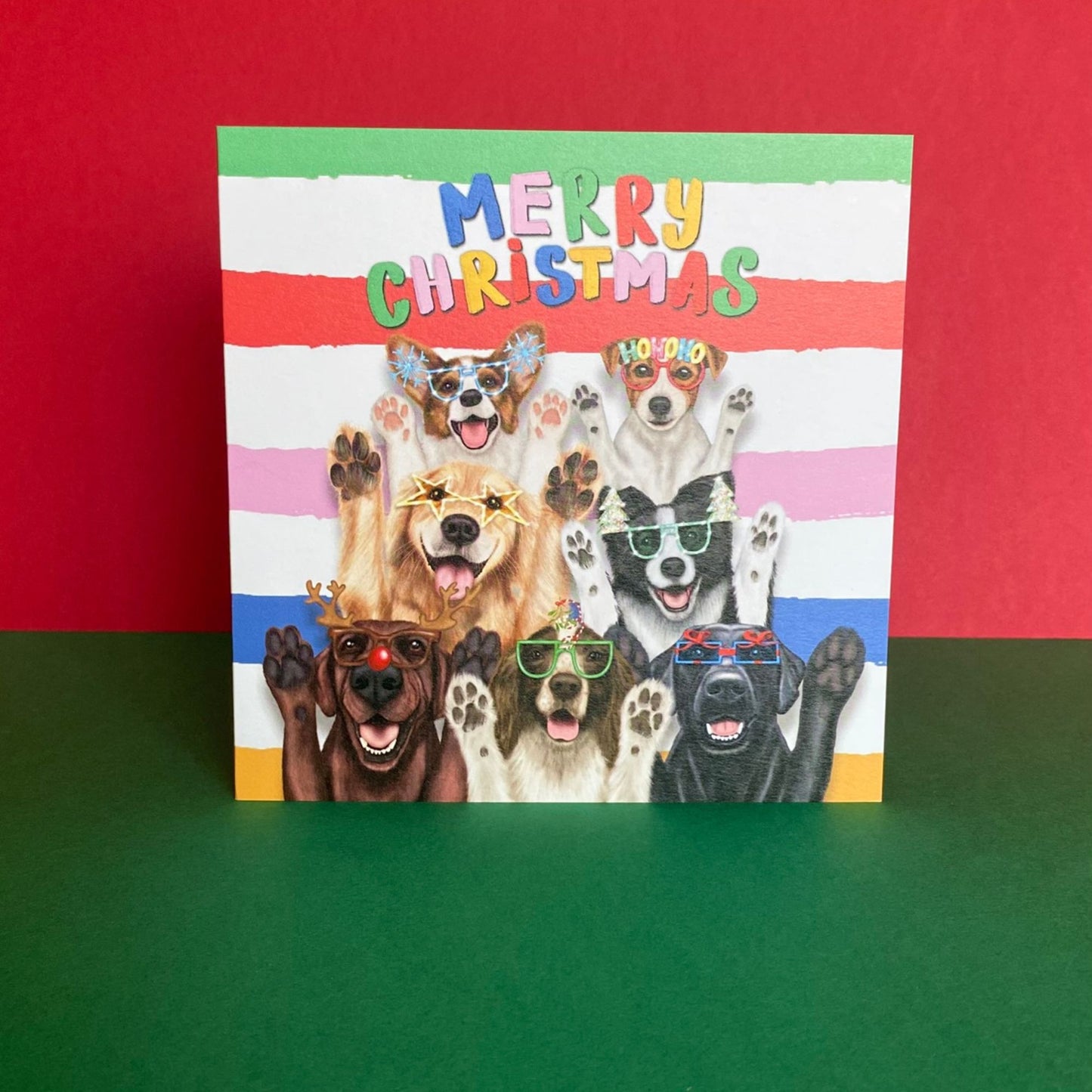 Funny Dogs Christmas Card | Group of Dogs Card