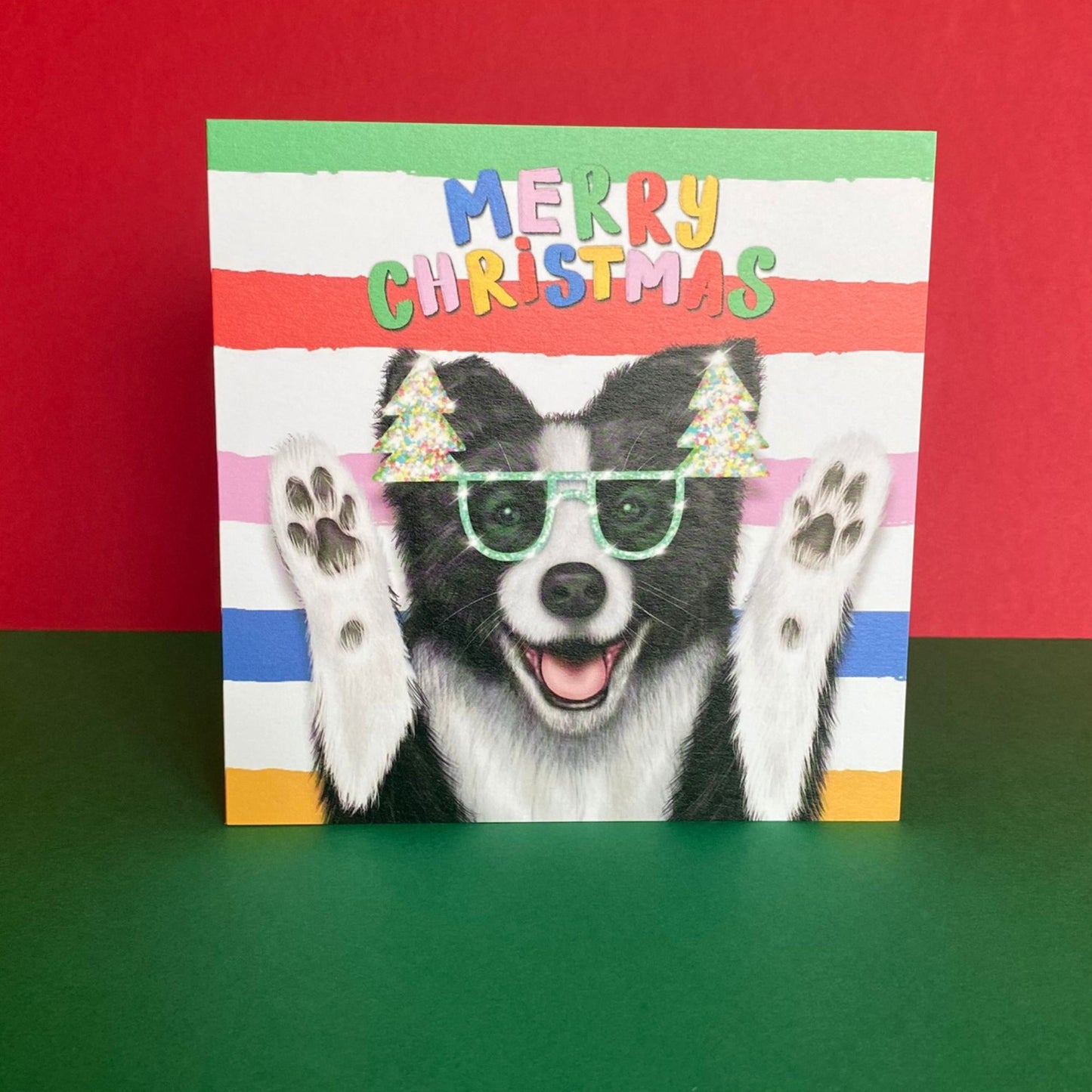 Border Collie Dog Christmas Card | Funny Dog Card