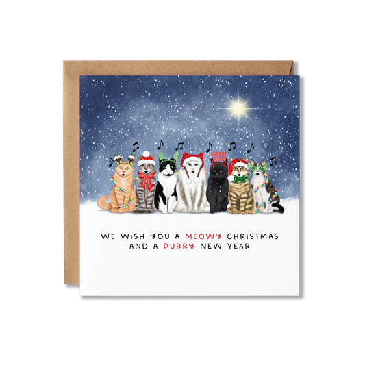 Christmas card with illustration of a group of cats sat in a row, wearing different Christmas hats and wrapped in Christmas lights in the snow with a starry night sky with the message We Wish You A Meowy Christmas and a Purry New Year.