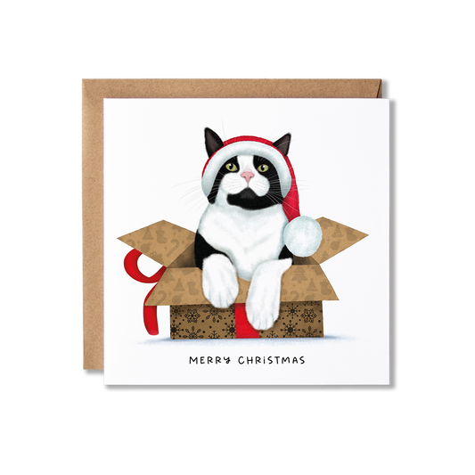 Christmas card with illustration of a black and white cat in a box with a red ribbon and wearing a red and white Santa hat on with the message Merry Christmas.