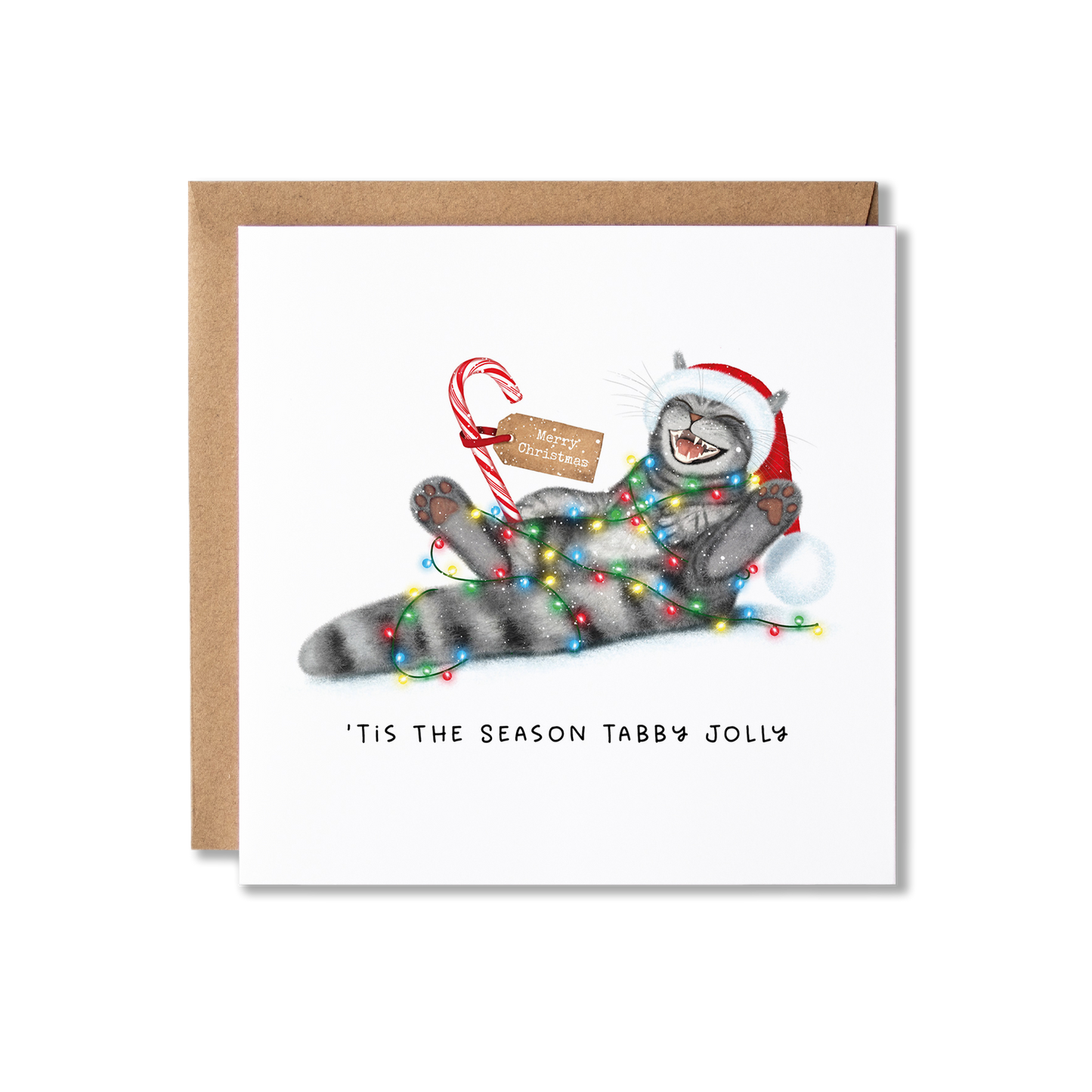 Christmas card with illustration of a tabby cat lying down with its legs in the air laughing, wearing a Santa hat and hold a red and white candy cane with a Merry Christmas tag on with the message Tis The Season Tabby Jolly.