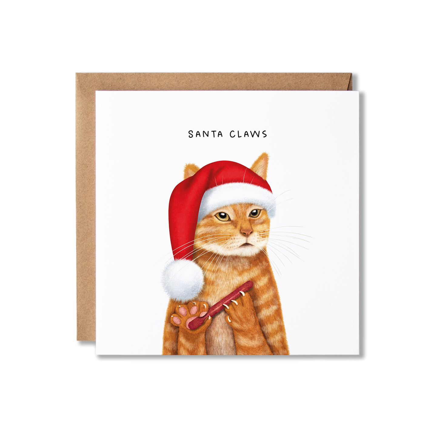 Christmas card with illustration of a ginger cat wearing a red and white Santa hat and filing it's claws, with the message Santa Claws written above.