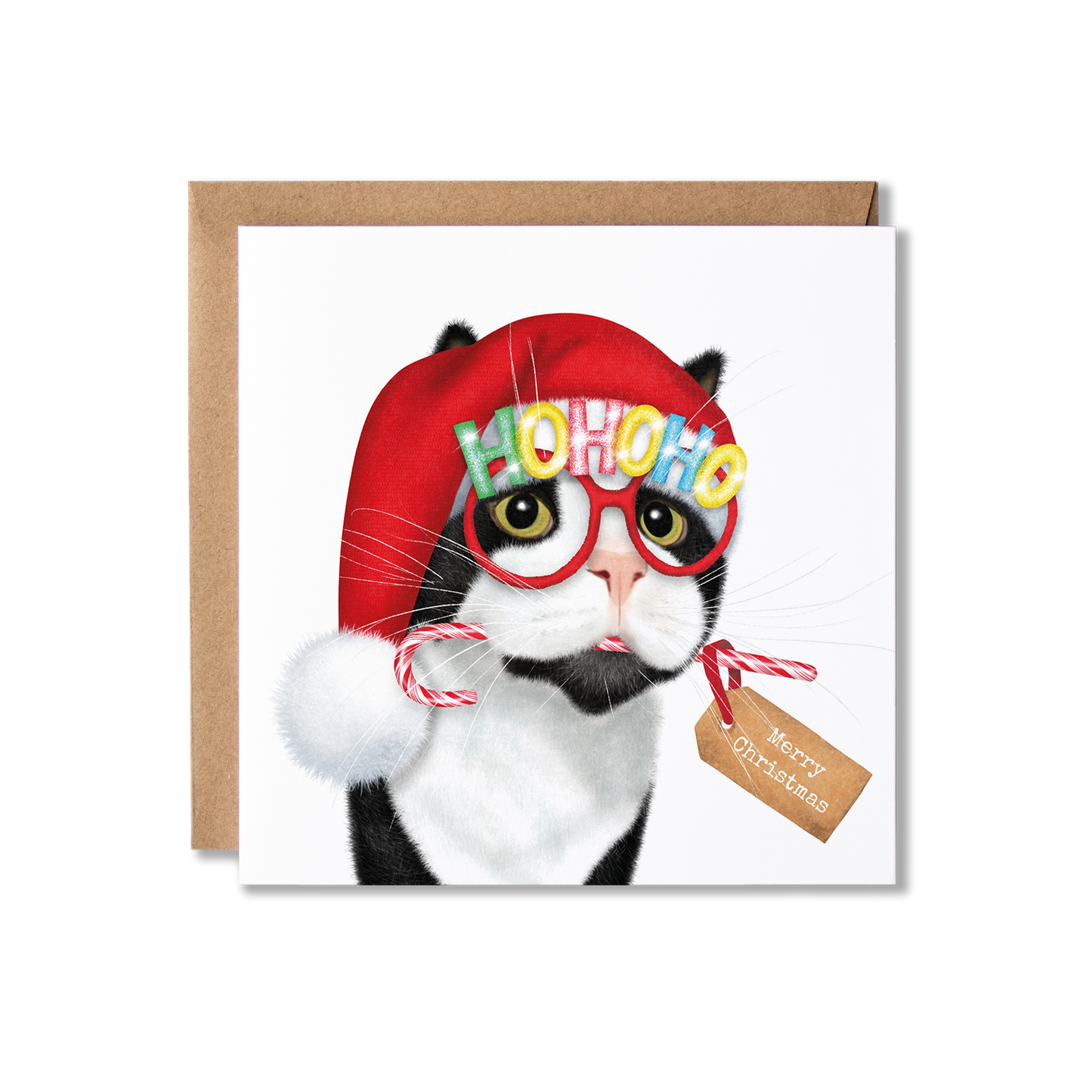 Christmas card with illustration of a black and white cat with e a Santa hat on and mult coloured Ho Ho Ho glasses on and holding a candy cane in it's mouth with a Merry Christmas tag on it.