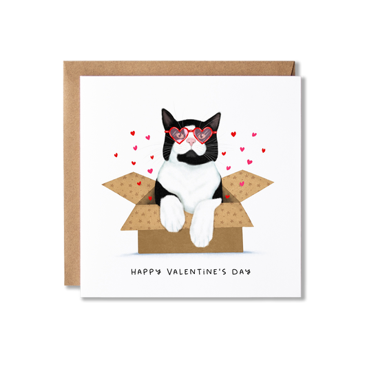 Valentine's Day card with illustration of a black and white cat sat in a box with red heart glasses on and the message Happy Valentine's Day.