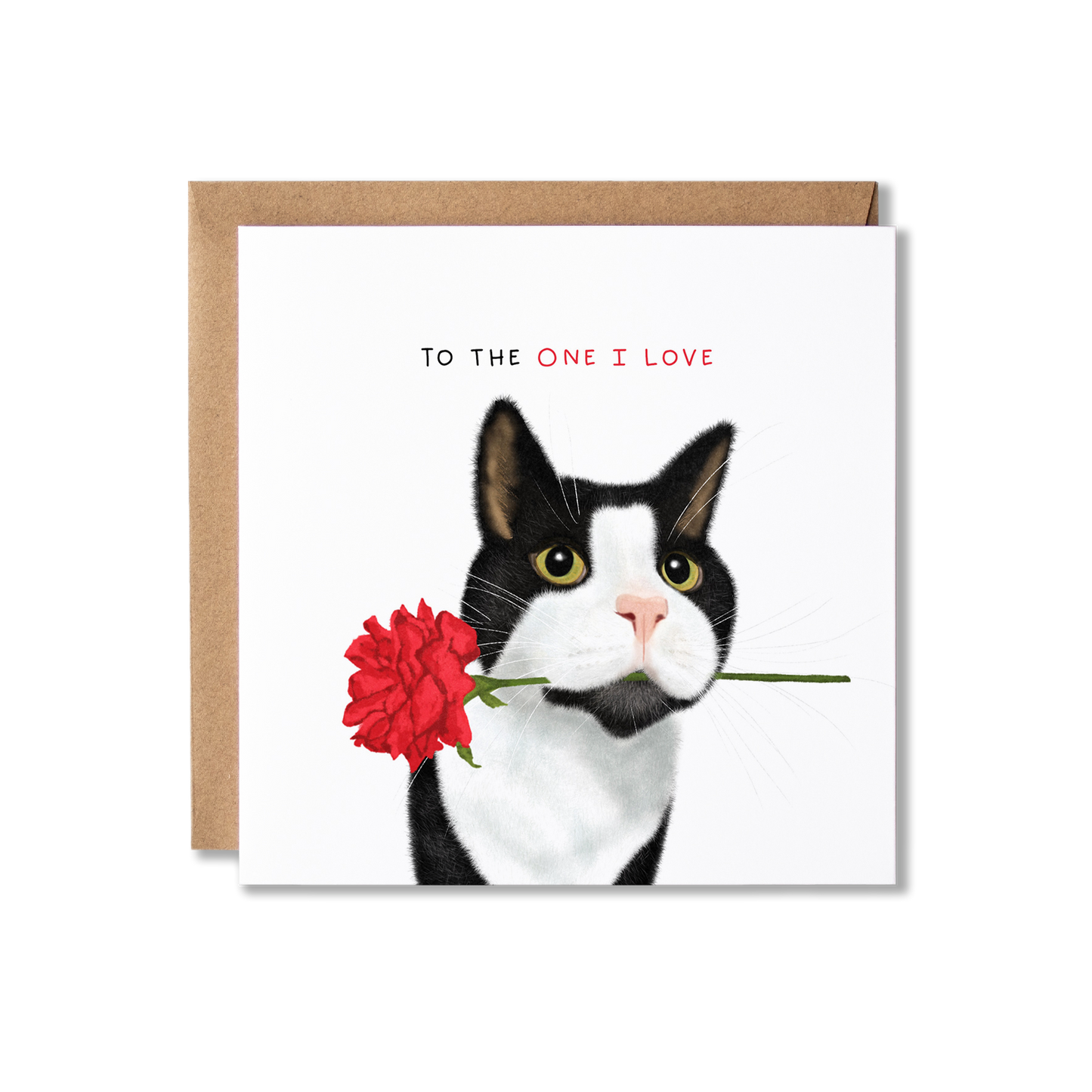 Valentine's Day card with illustration of black and white cat with red rose in it's mouth and the message Happy Valentine's Day.