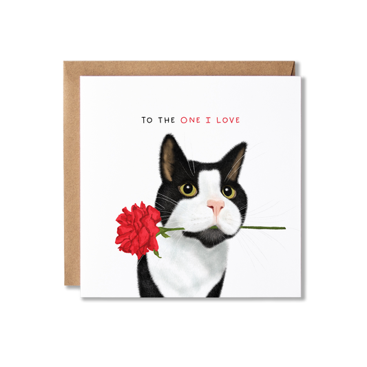 Valentine's Day card with illustration of black and white cat with red rose in it's mouth and the message Happy Valentine's Day.