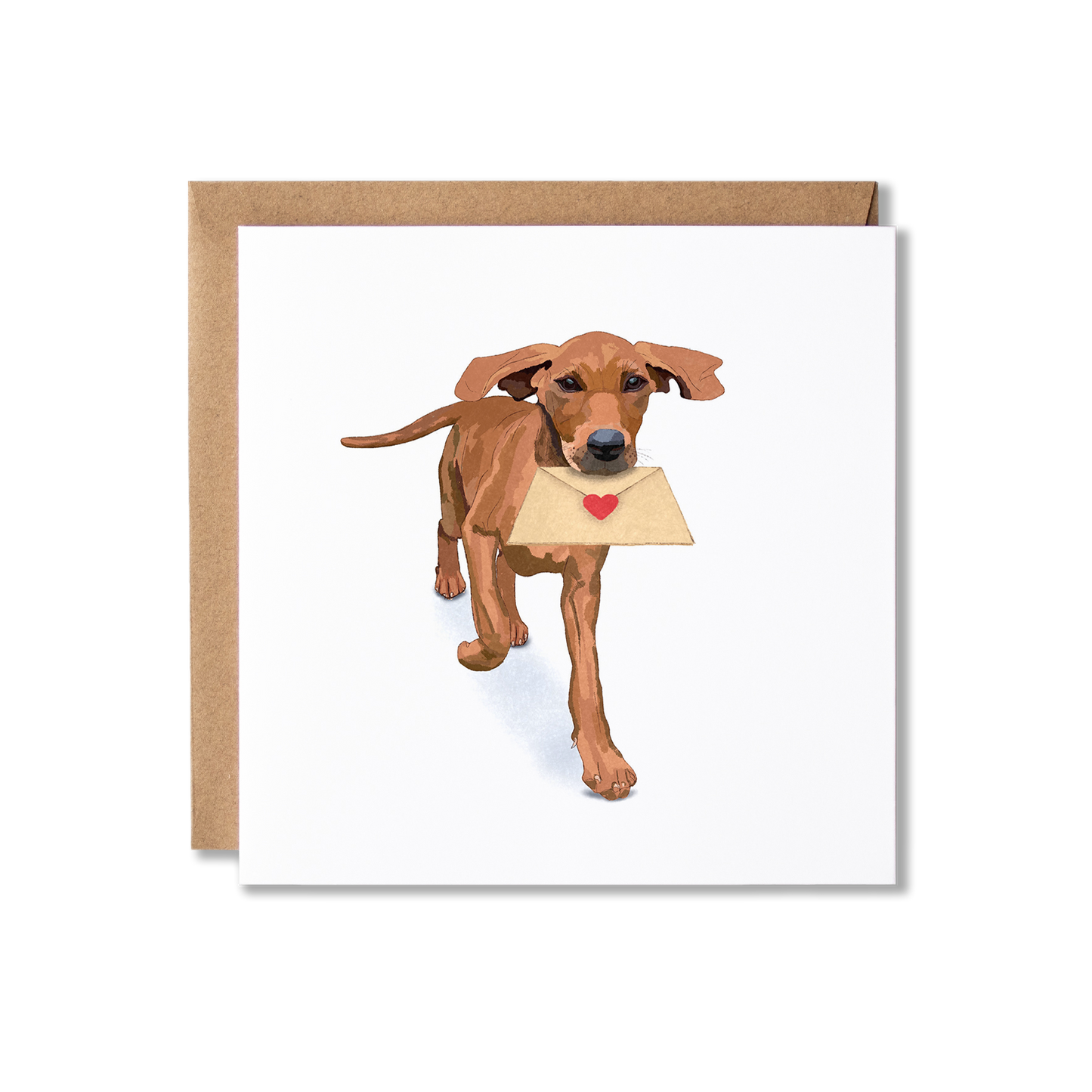 Greeting card with illustration of a Vizsla Dog carrying a heart envelope in it's mouth.