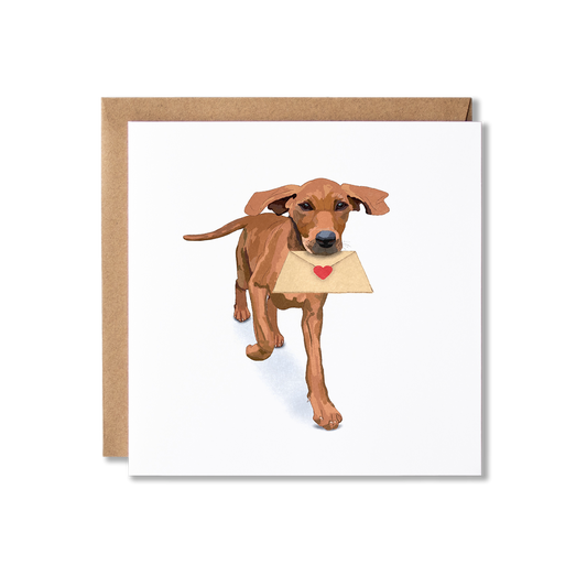 Greeting card with illustration of a Vizsla Dog carrying a heart envelope in it's mouth.