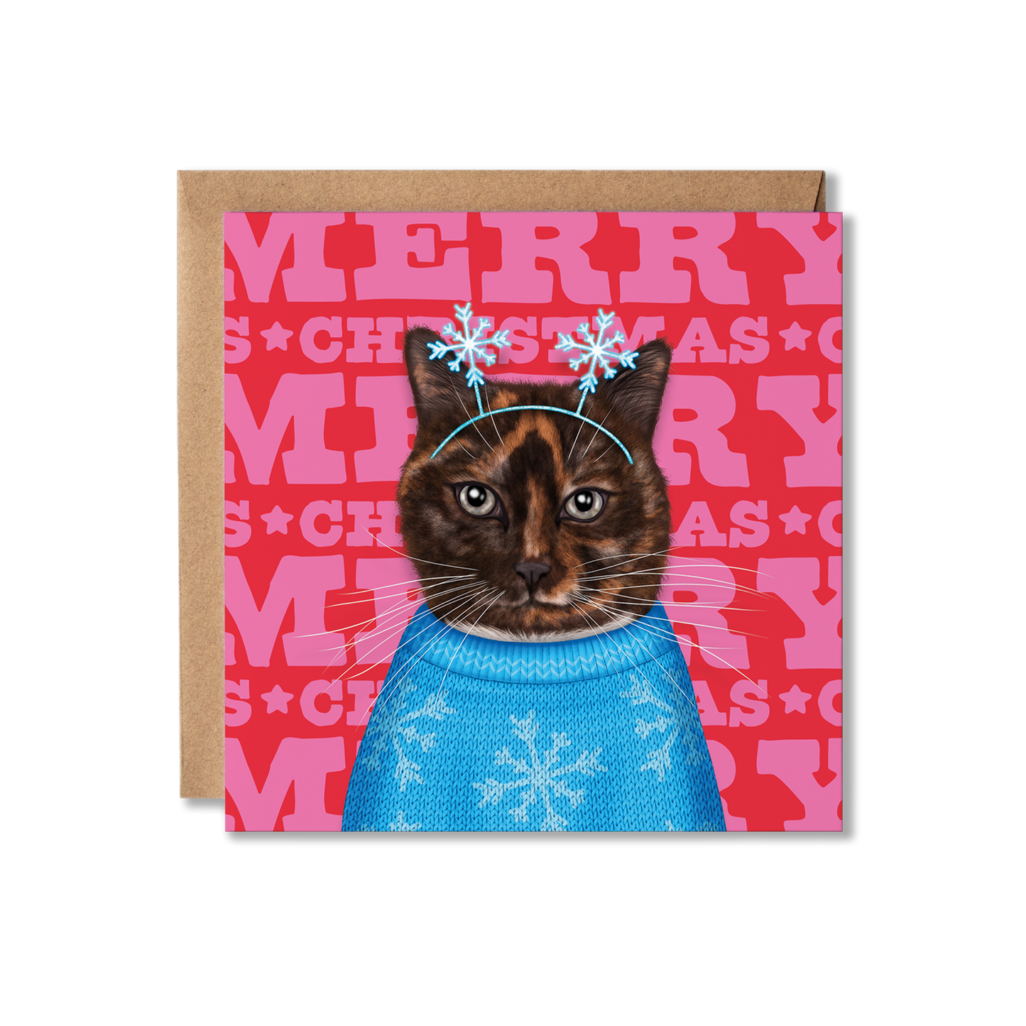 A Tortoise shell cat with a blue snowflake knitted jumper and snowflake headband with a colourful Merry Christmas background