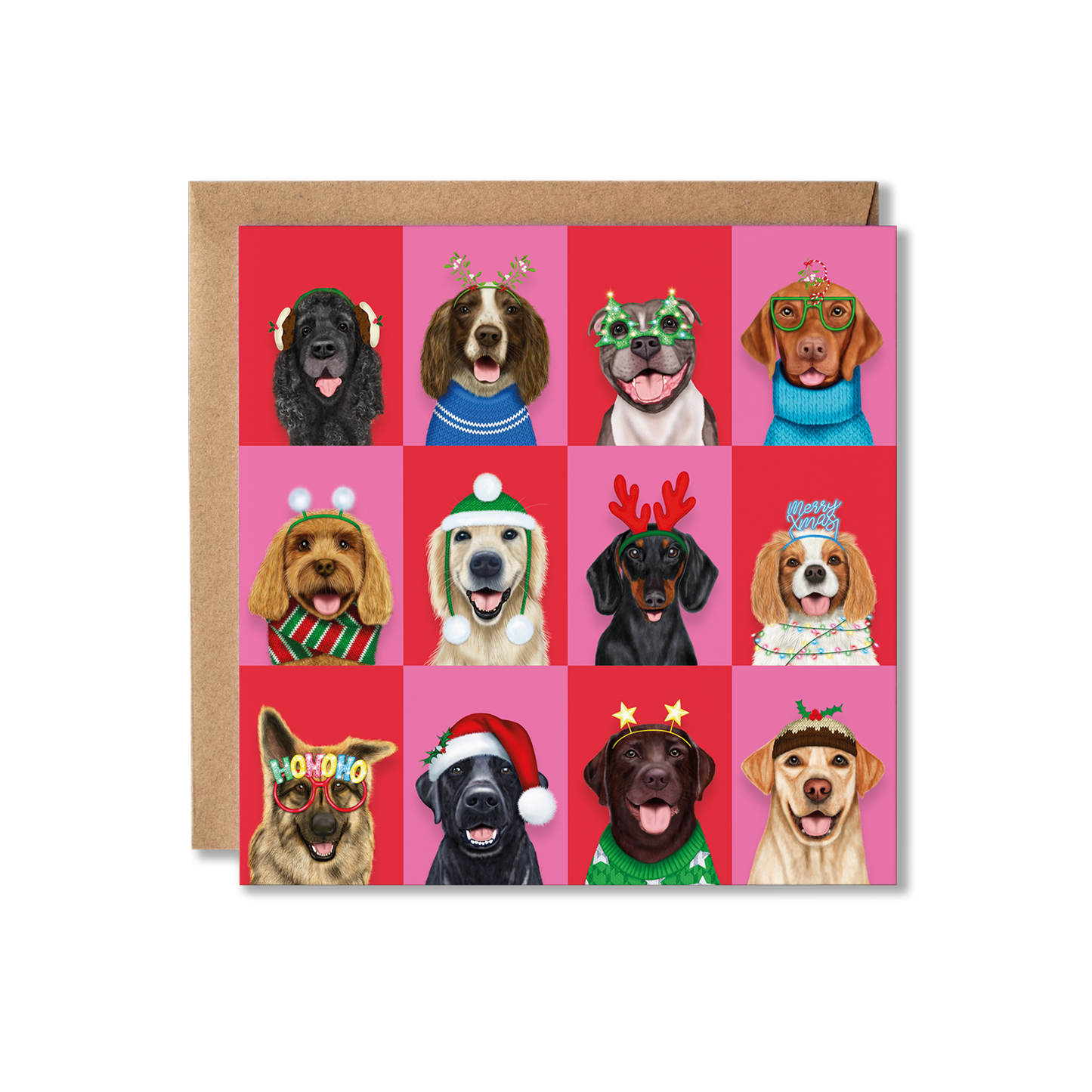 A group of dogs in Christmas attire with a colourful chequered background wishing you a Merry Christmas