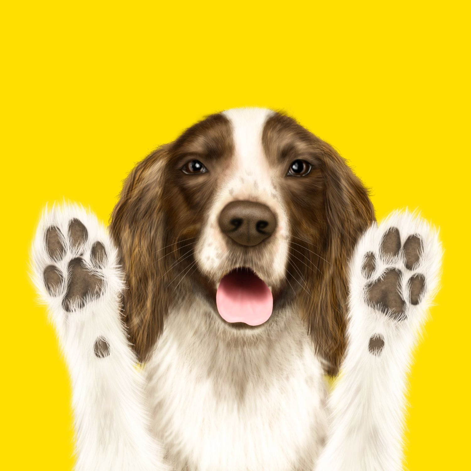 Paws Up