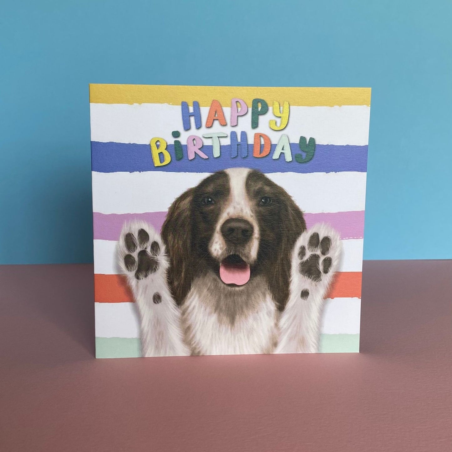 Spaniel Dog Birthday Card  | Funny Dog Card