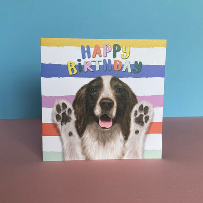 Spaniel Dog Birthday Card  | Funny Dog Card