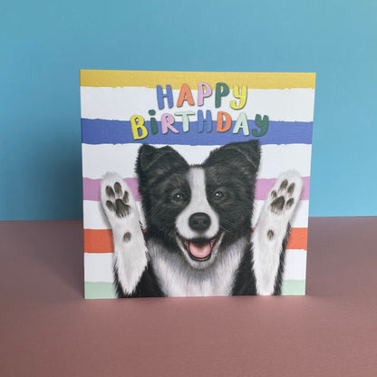 Border Collie Dog Birthday Card  | Funny Dog Card