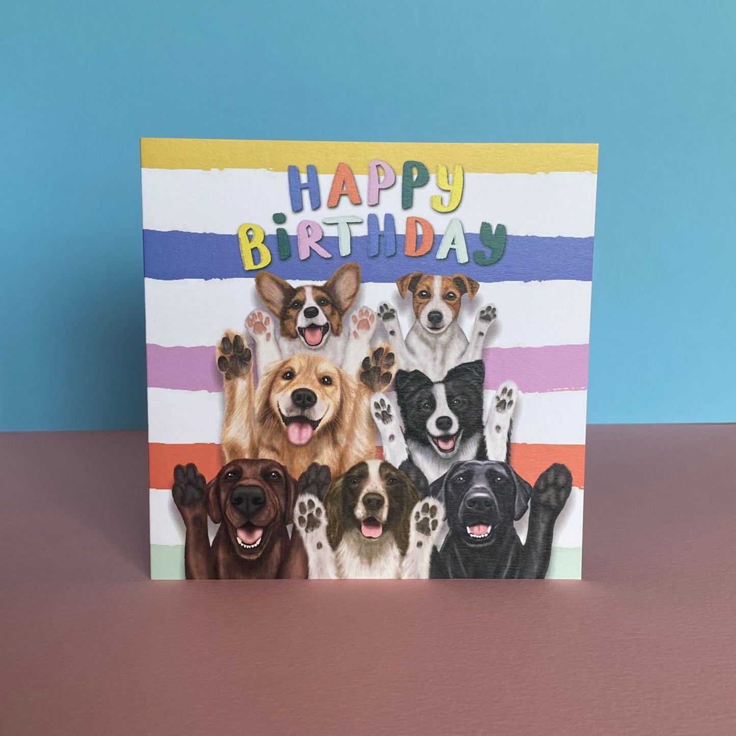 Funny Dogs Birthday Card | Group of Dogs
