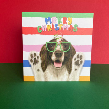 Spaniel Dog Christmas Card | Funny Dog Card