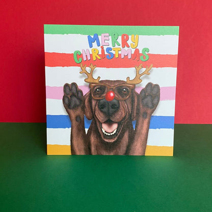 Chocolate Brown Labrador Dog Christmas Card | Funny Dog Card