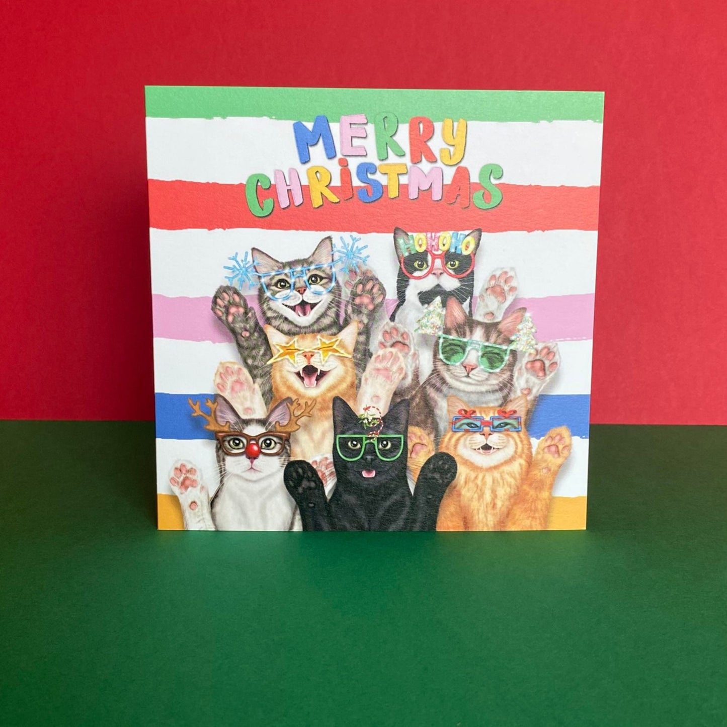 Funny Cats Christmas Card | Merry Christmas