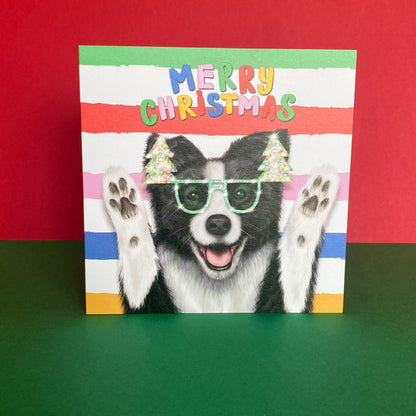 Border Collie Dog Christmas Card | Funny Dog Card
