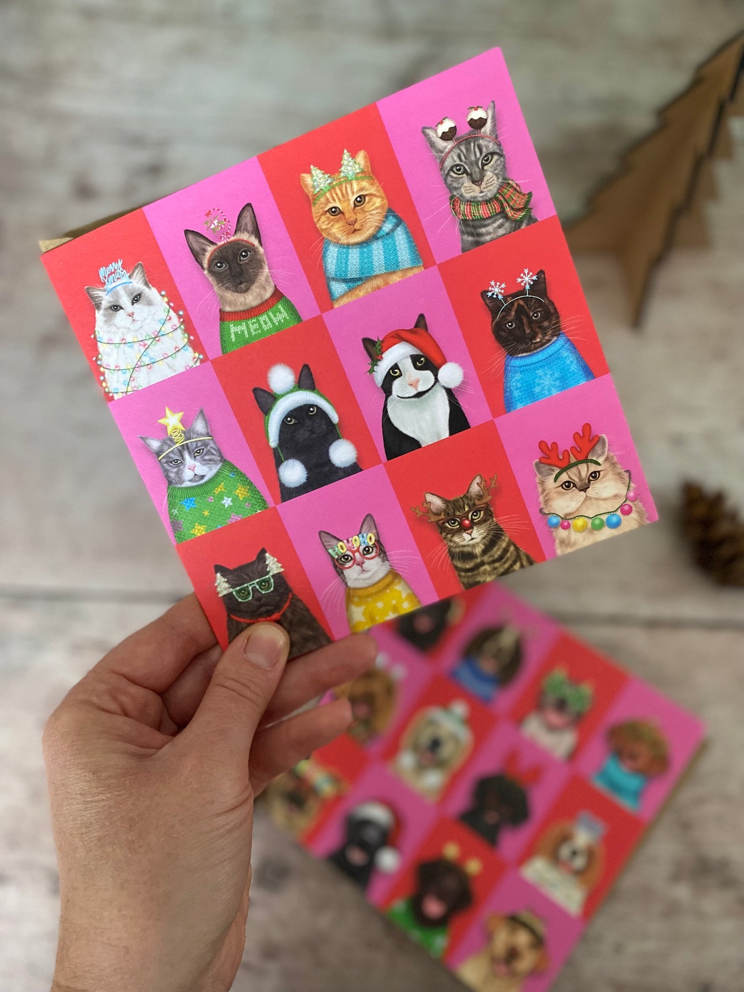 Funny Cat Merry Christmas Card