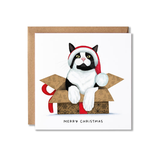 A square Christmas greeting card with a kraft envelope behind it. The card features an illustration of a black-and-white cat wearing a red Santa hat and sitting in an open cardboard box with a red ribbon.