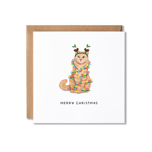 A square Christmas greeting card with a white front and a kraft brown envelope behind it. The card features an illustration of a ginger cat wearing small Christmas puddings and wrapped in multicoloured Christmas lights, with the text 'MERRY CHRISTMAS' below.