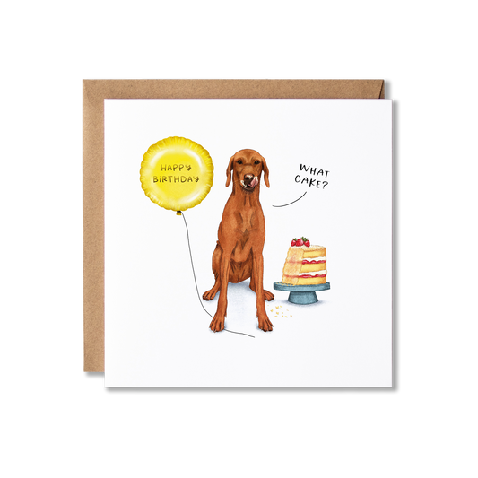 Birthday card with illustration of a a Vizsla dog, sat in front of a cake that has a bit missing, licking it's lips saying 'What cake?' and holding a gold ballon that has Happy Birthday on it.