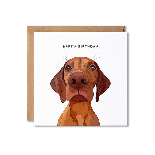 A square birthday card with a Vizsla dog illustration and the words 'HAPPY BIRTHDAY' above it, shown with a kraft envelope on a white background.