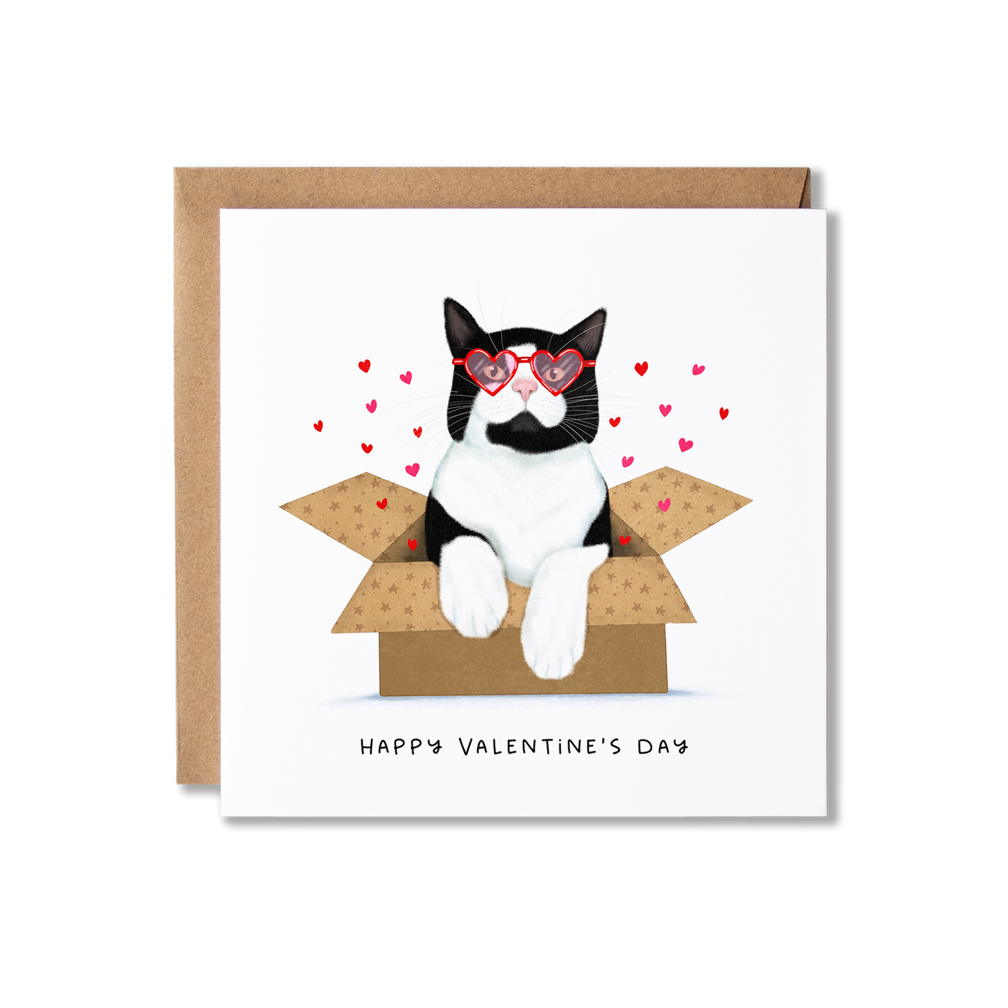 Valentine's Day card with illustration of a black and white cat sat in a box with red heart glasses on and the message Happy Valentine's Day.