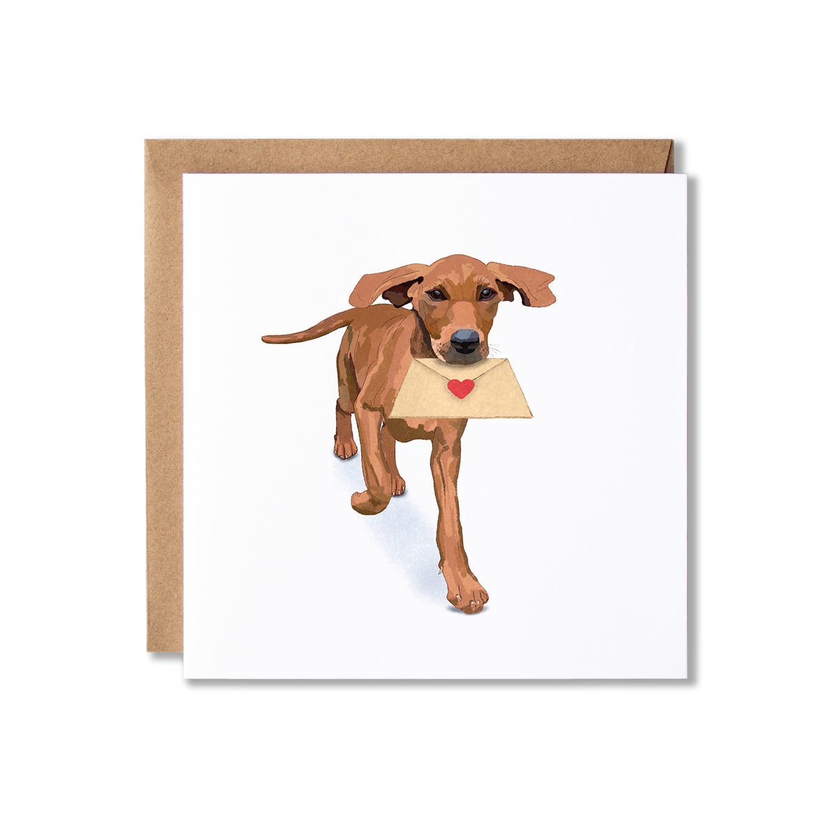 A square greeting card with a brown envelope behind it, featuring an illustration of a brown dog holding a beige envelope with a small red heart on a white card background.