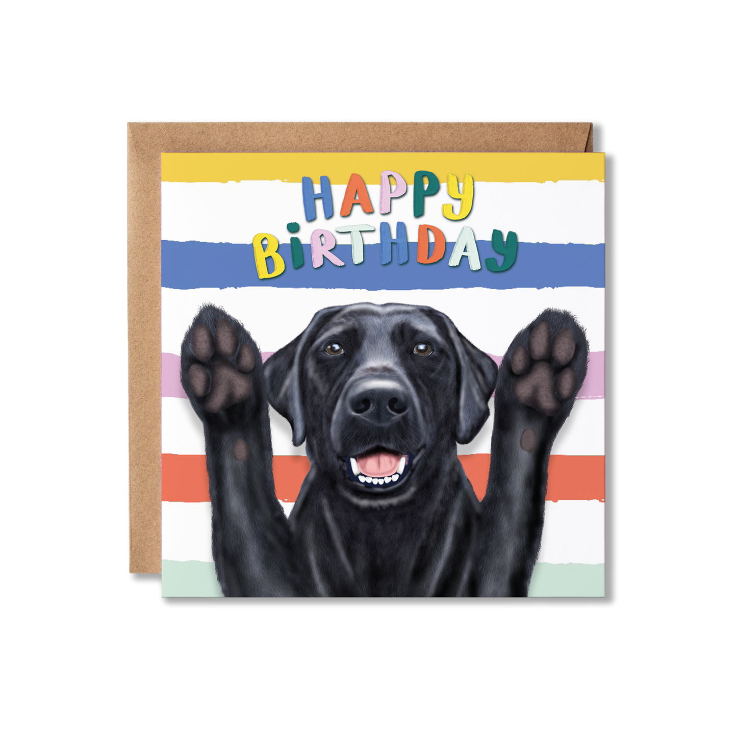 Funny Black Labrador Dog Birthday Card