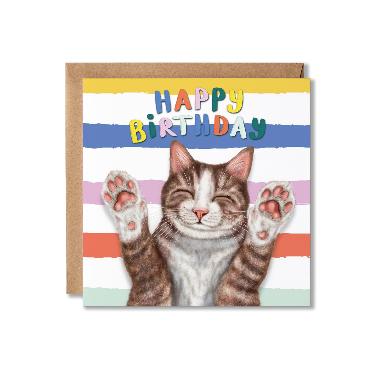 Funny Brown and White Cat Birthday Card