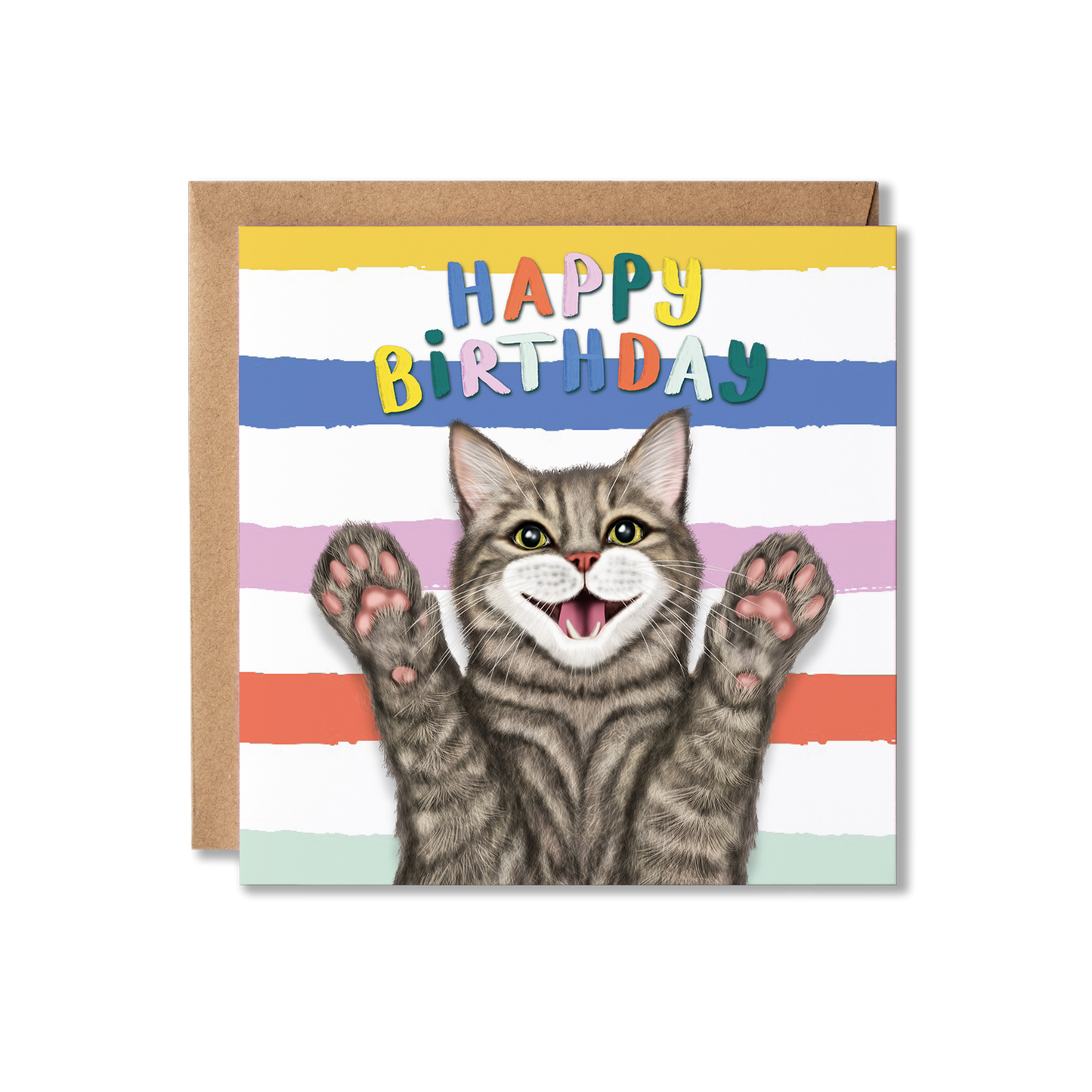 Funny Grey Tabby Cat Birthday Card