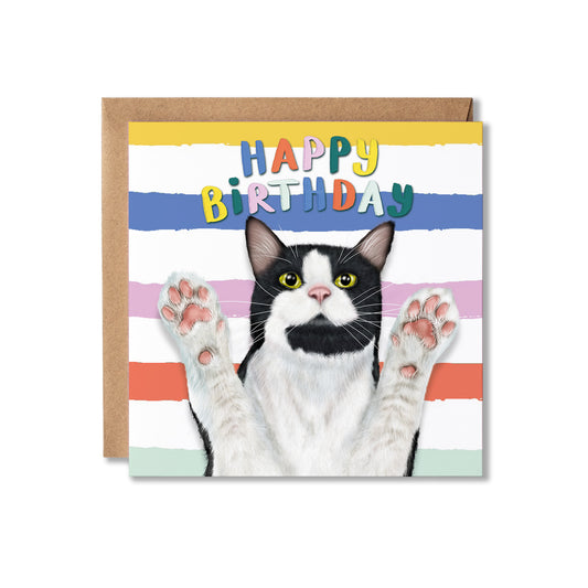 Birthday card with a tuxedo cat and colourful stripes and 'Happy Birthday' text.