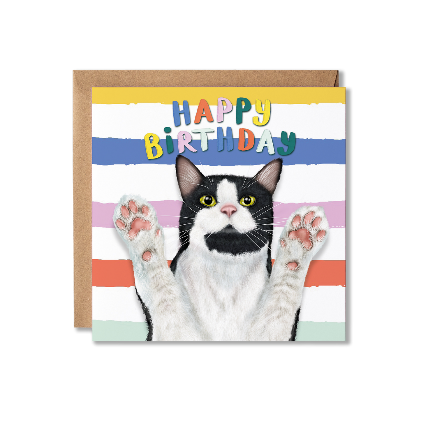 Funny Tuxedo Black and White Cat Birthday Card