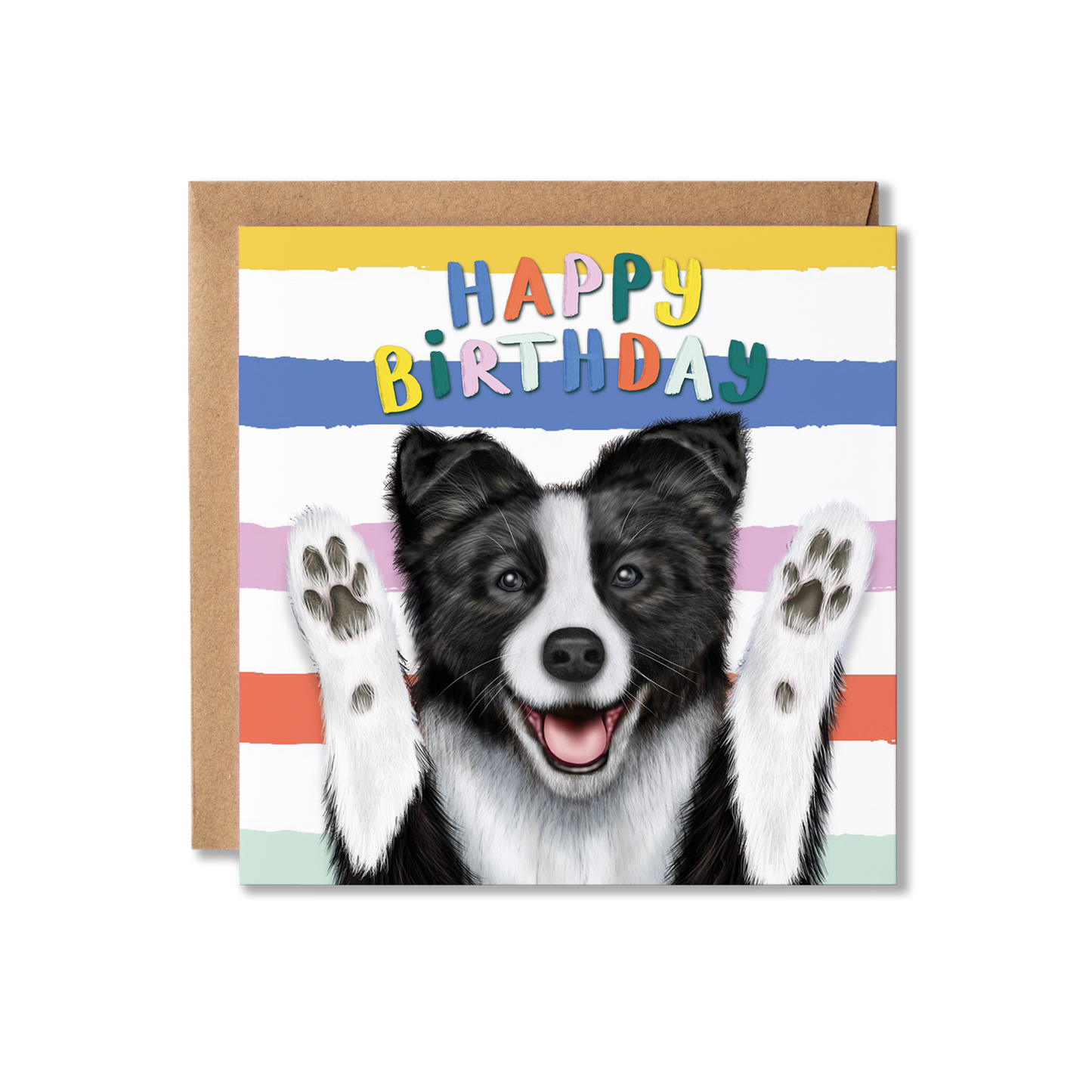 Funny Border Collie Dog Birthday Card