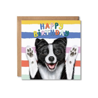 Funny Border Collie Dog Birthday Card