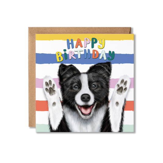 Funny Border Collie Dog Birthday Card