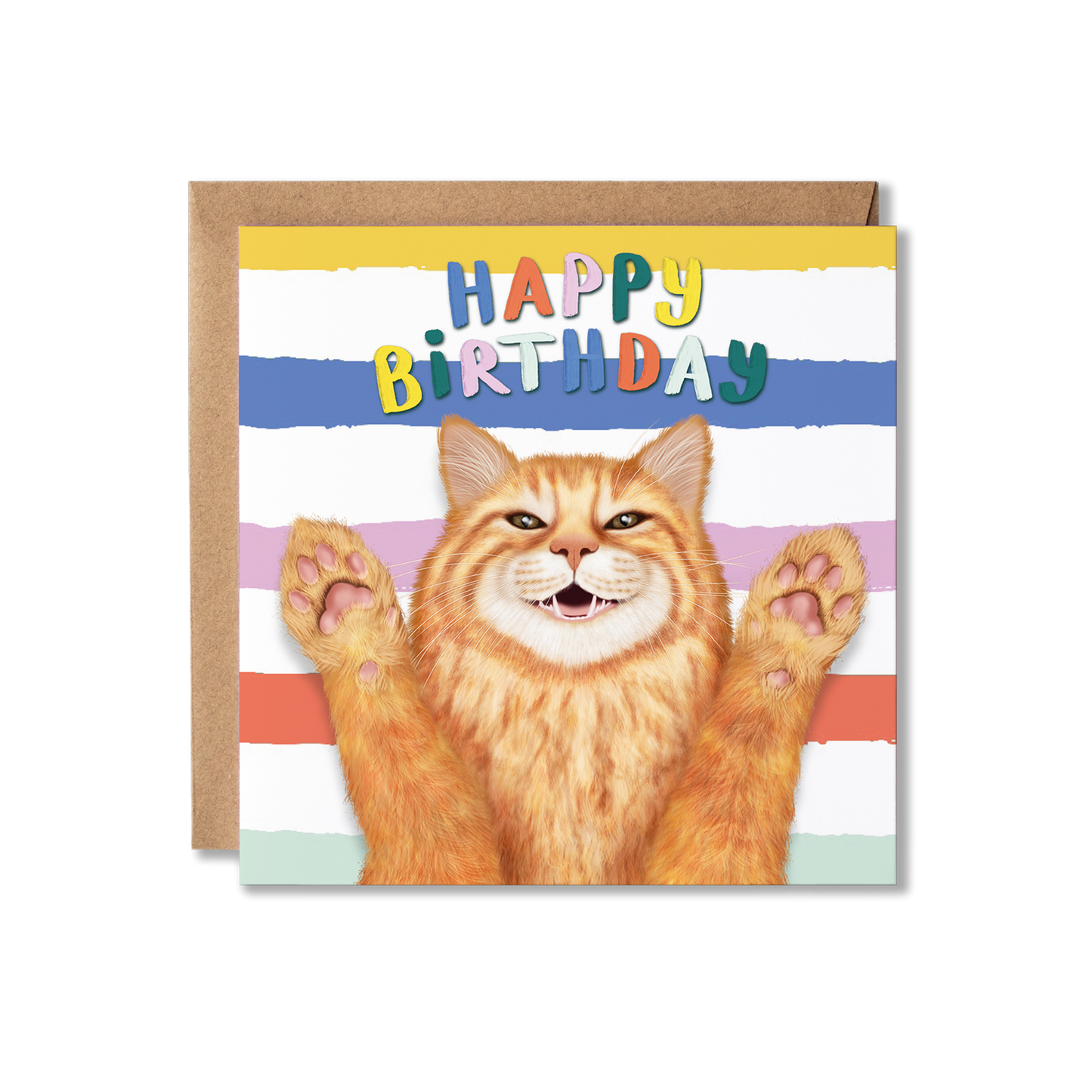 Funny Ginger Cat Birthday Card