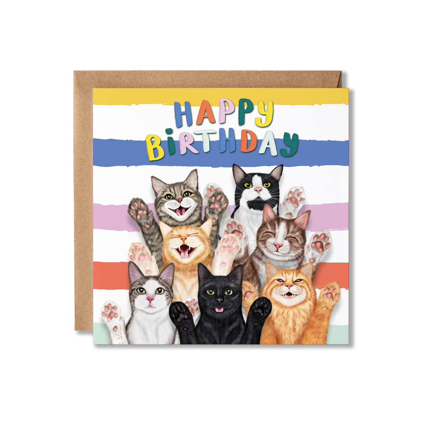Funny Cats Birthday Card