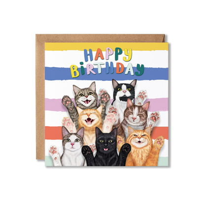 Funny Cats Birthday Card