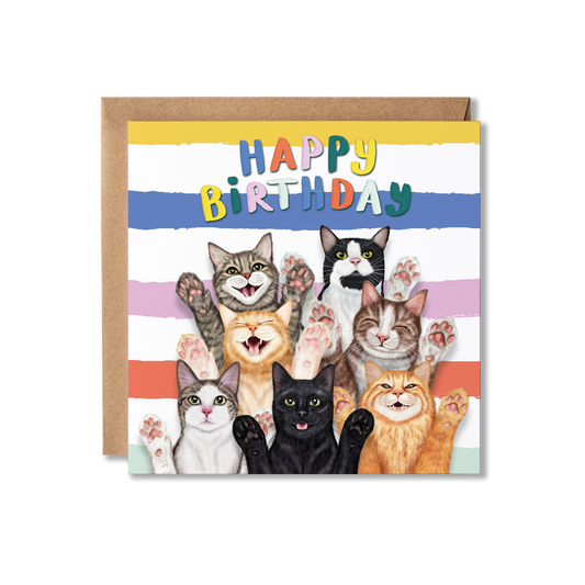 Funny Cats Birthday Card