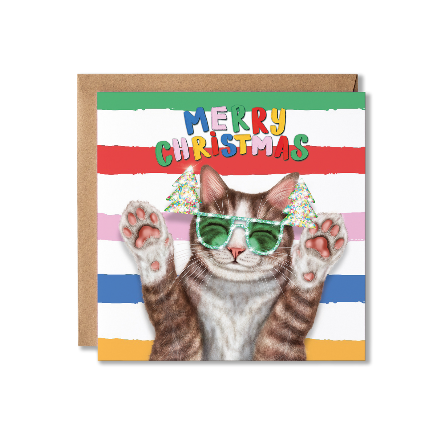 Brown and White Tabby Cat Christmas Card | Funny Cat Card