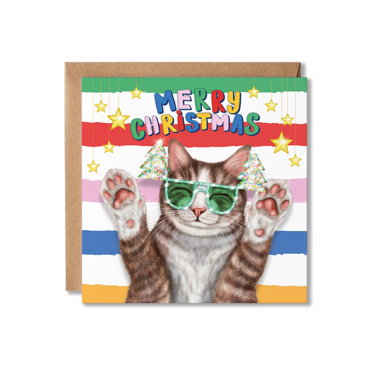 Brown and White Tabby Cat Christmas Card | Funny Cat Card